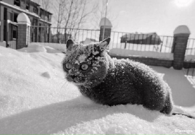 ⚡️Сильный снегопад накроет Пермь сегодня во второй п?...