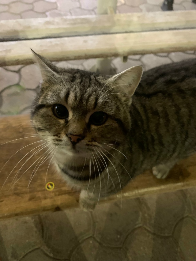 На остановке «Гормолзавод» сидит упитанный такой, шёр?...