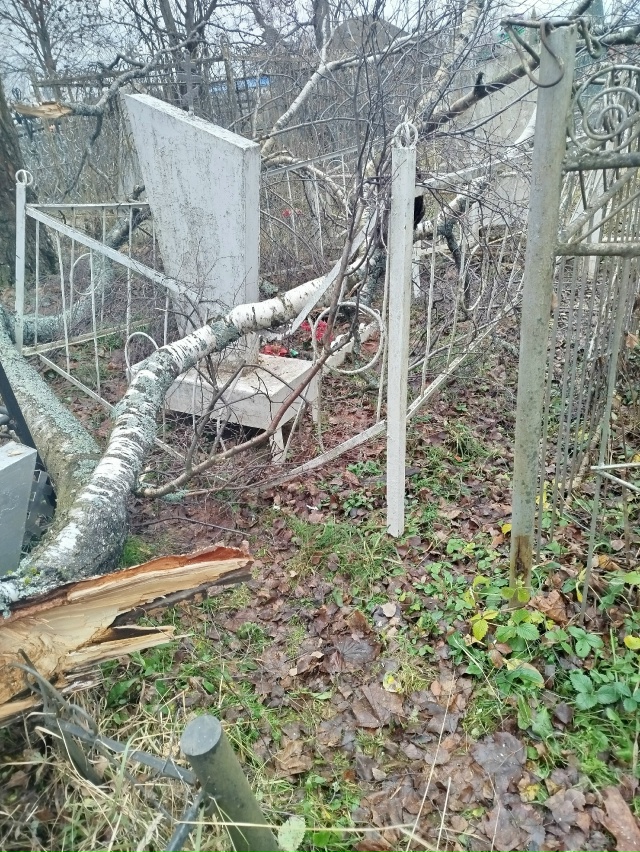 Такое мы увидели вчера 19.11.2025 г. на кладбище в с. Сицкое. ...