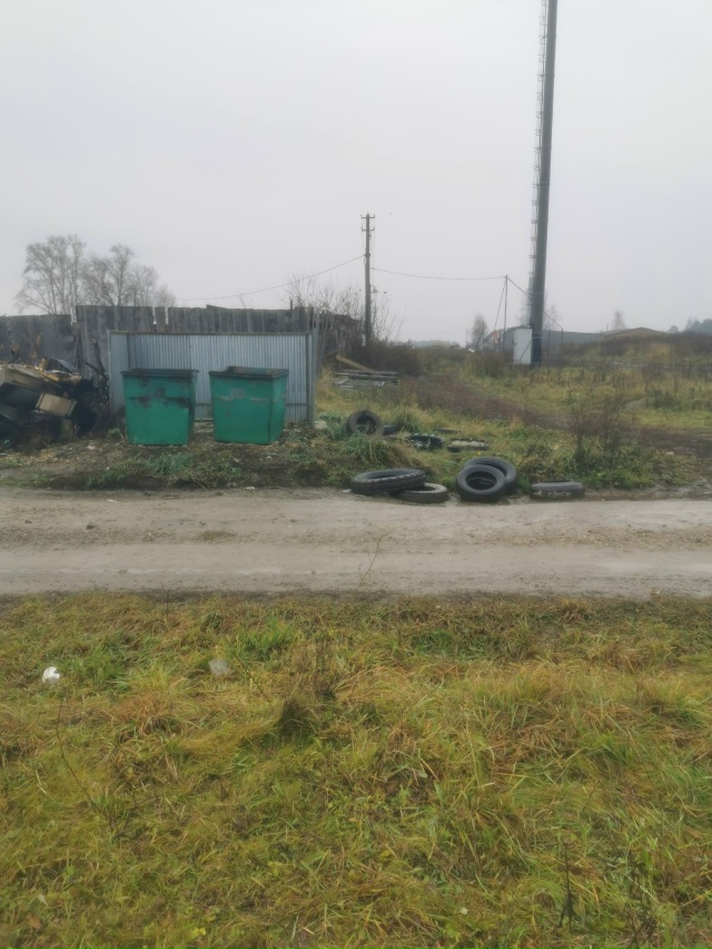 В деревне РОМАШКИНО по переулку Луговой мусор лежит уж...