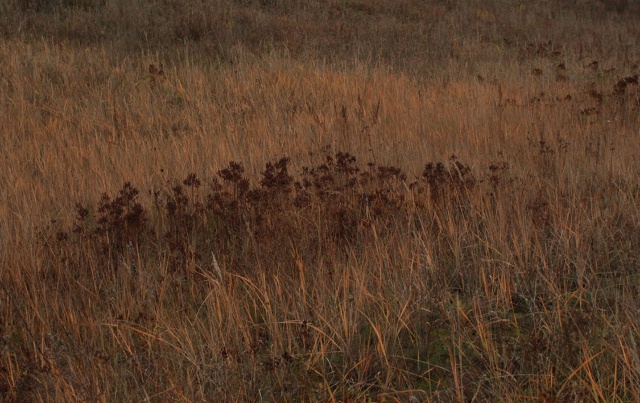 Красивая осень в Чайковском 🍂