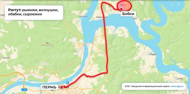 📍Грибные точки рядом с Пермью (~50км)
Хотите грибов, но ...