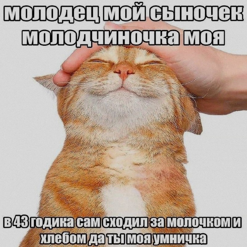 Ночная подборочка
Спать, режим