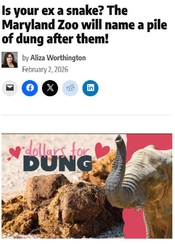 Назвать кучу дерьма в честь имени вашего бывшего предлагает зоопарк Мэриленда специально к 14 феврал