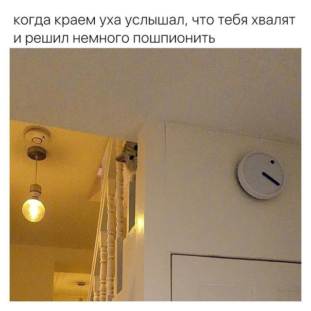 Шпивон