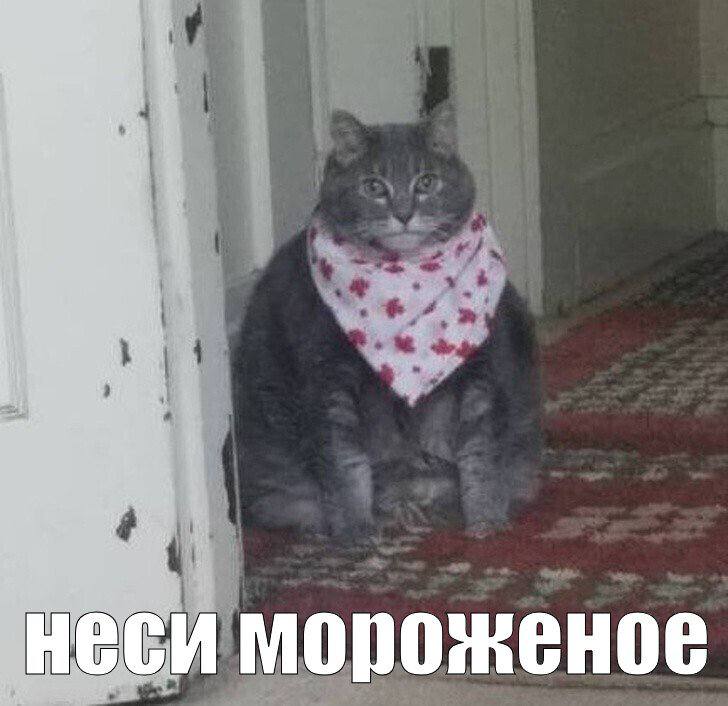 Мороженое убивает вашу печень: частое употребление пломбира сильно перегружает орган и он не справля