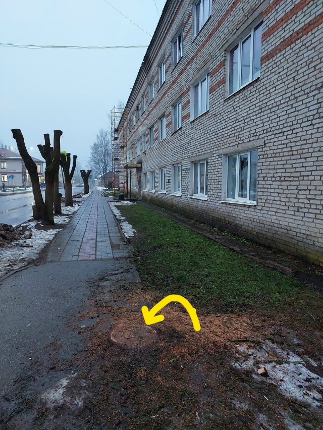 Не губите, мужики, не губите, не рубите дерева, не рубит?...