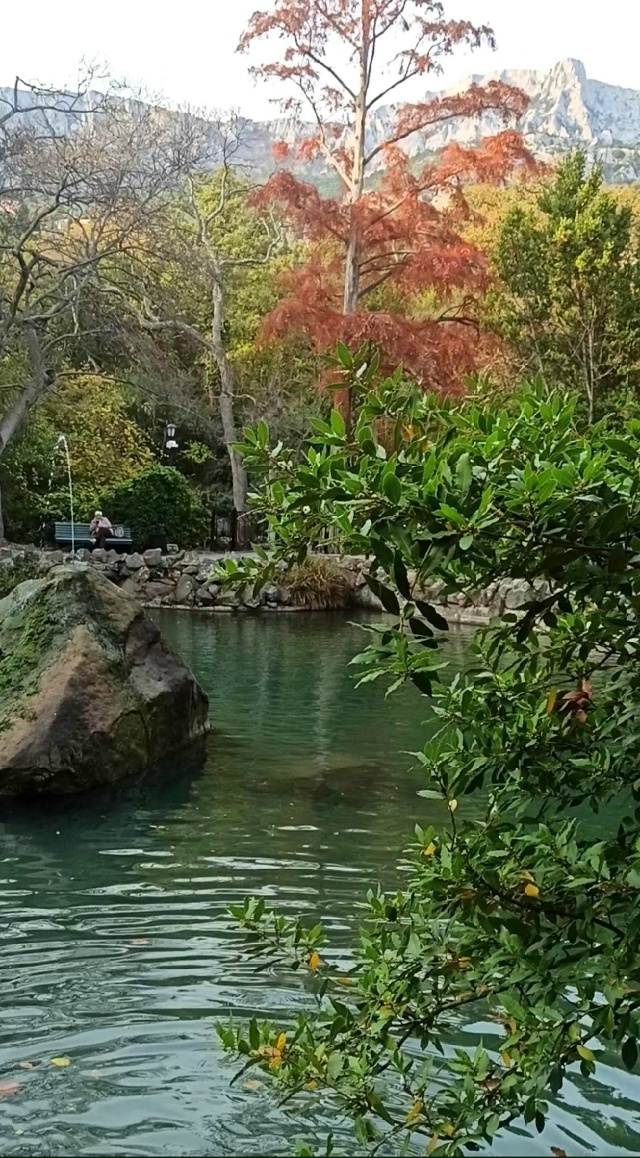 У знаменитой пары лебедей-шипунов подросло пернатое п?...