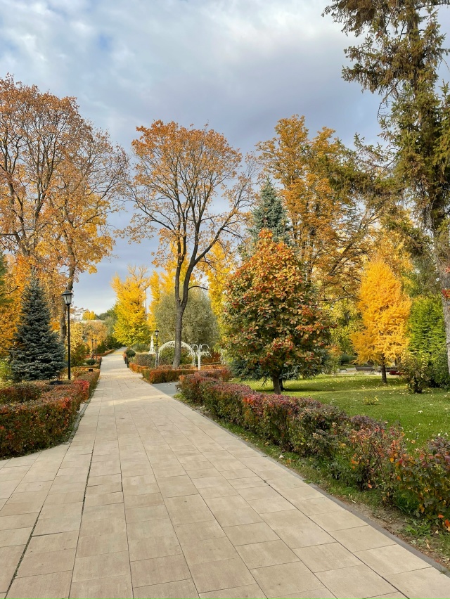 Снова осень 🍂 за окном
📸