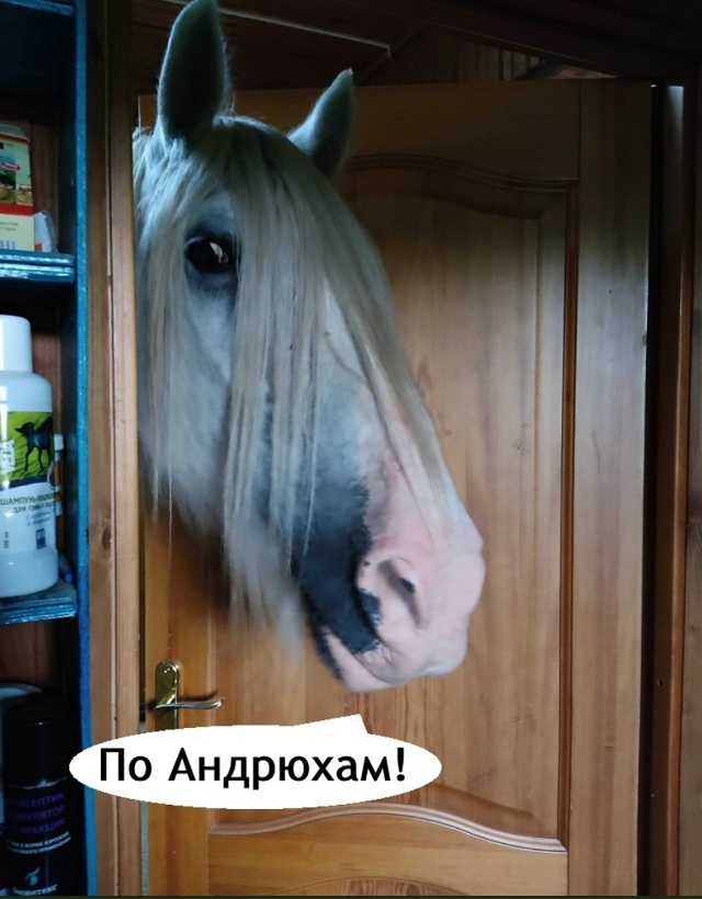 Выезжаем немедленно