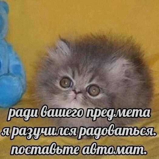 Ночная подборочка
Спать, режим