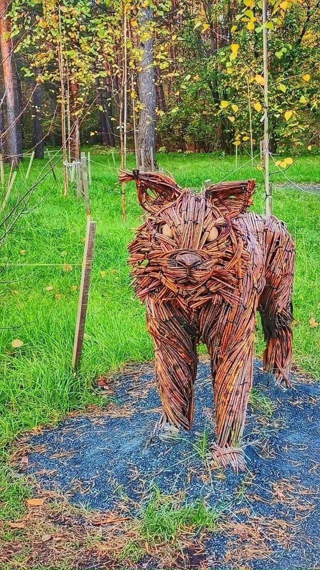 ? Обитатели Балатовского парка
? Кристина Гермаш