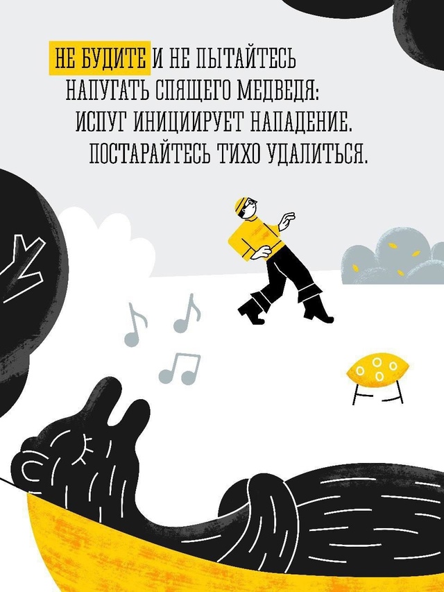 🐻Бурый медведь – крупный, опасный для человека хищни?...