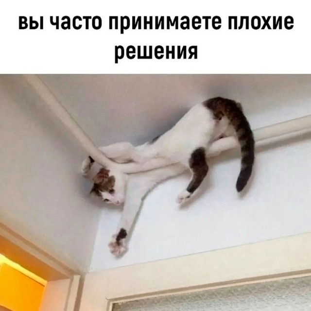 Я точно в душе кот