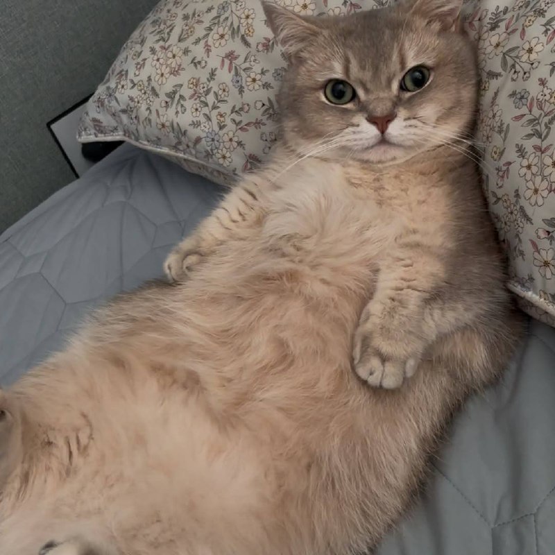 Ну идем уже споть, я же жду тибя в кроватке :3