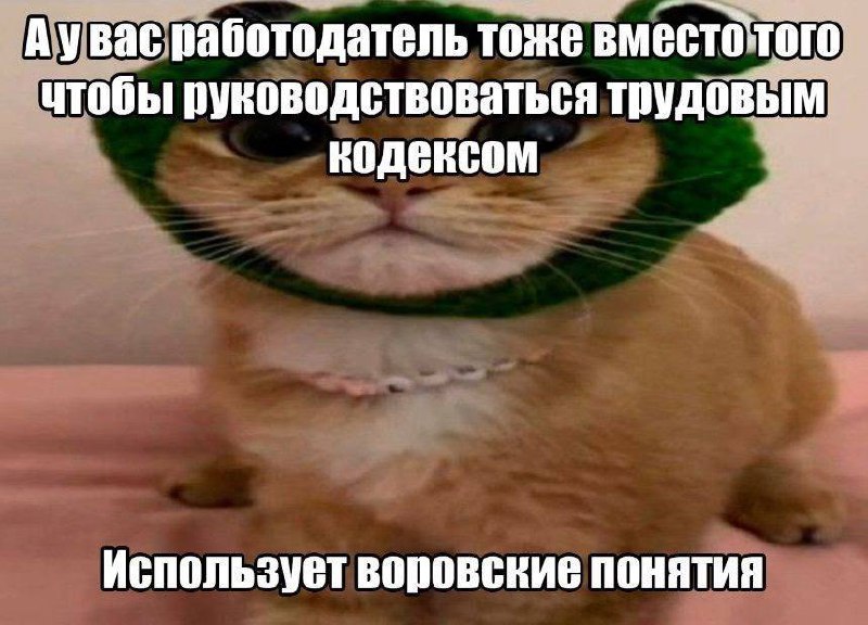 Утренняя подборочка