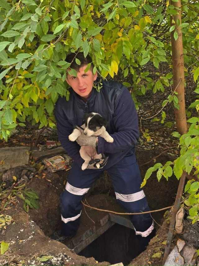 ? Спасатели достали щенка из заброшенного погреба в С...