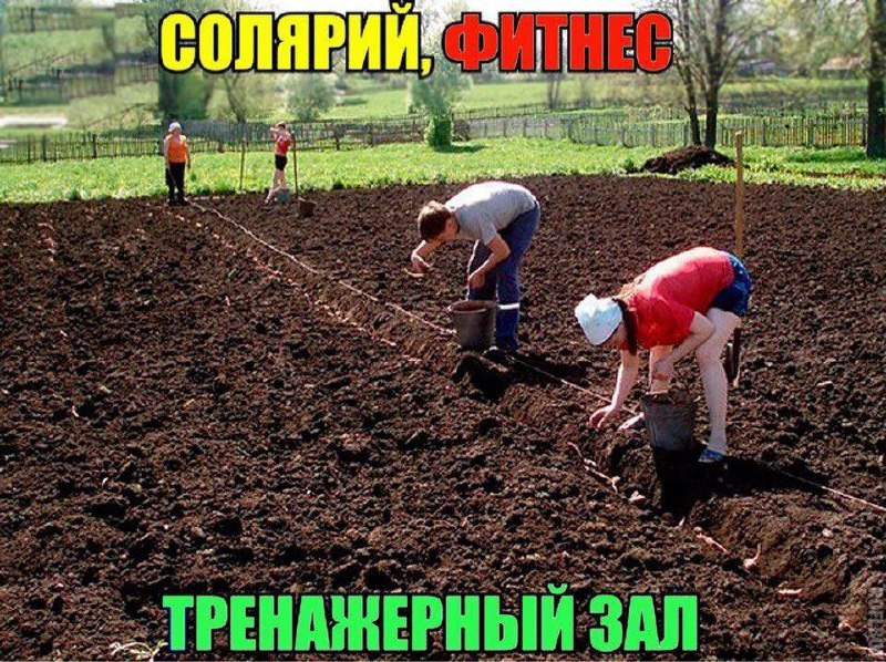 Сегодня отмечается День дачника.