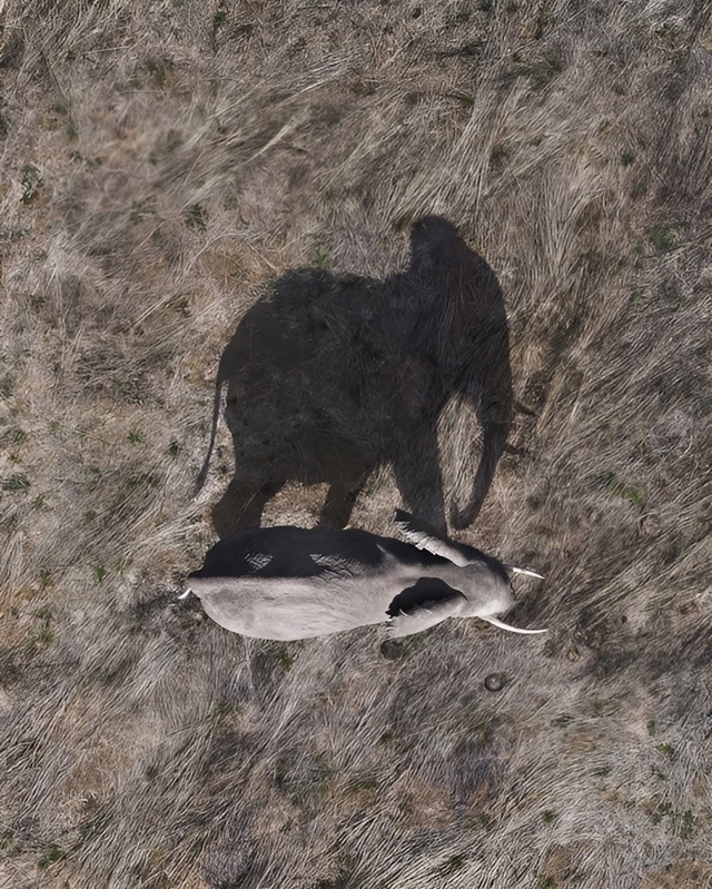 Гипнотические фотографии с дронов от автора Abstract Aerial Ar...