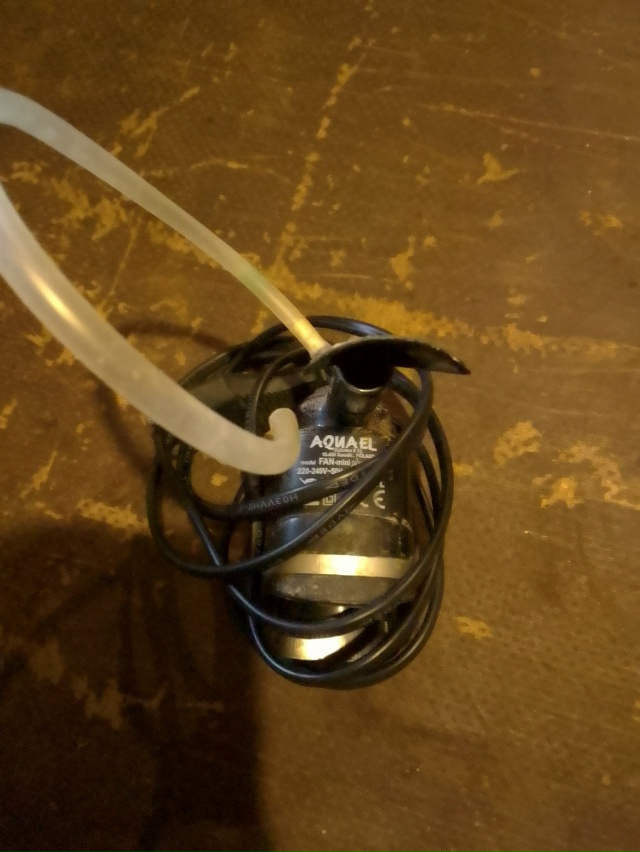 Анонимно
Продам
1.водонагреватель для аквариума 350 руб...