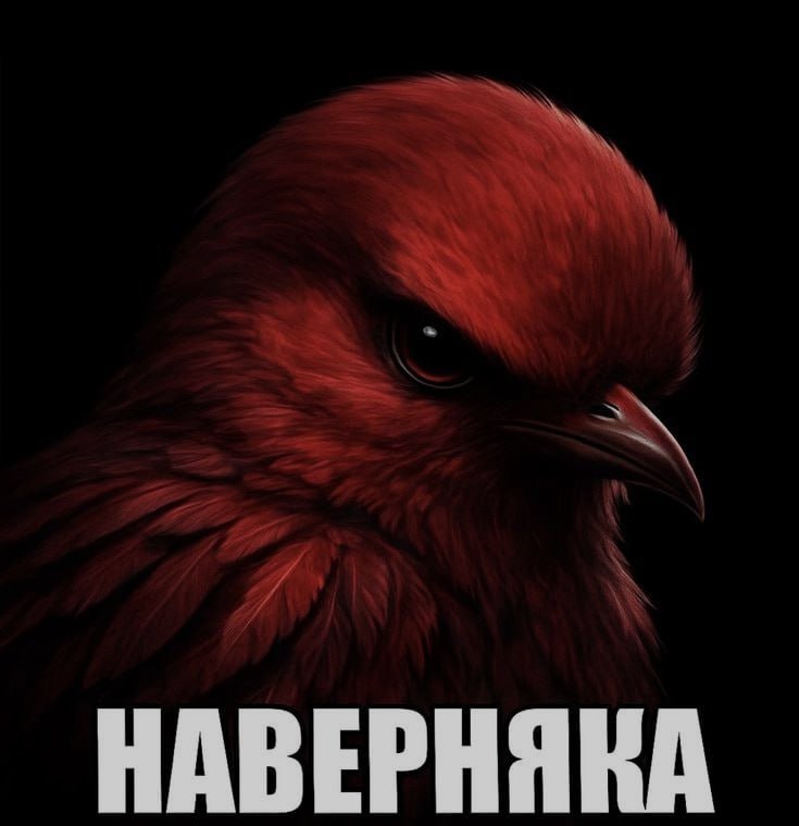 Ночная подборочка
Спать, режим