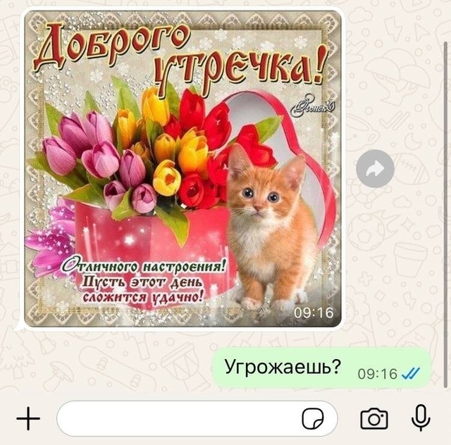 В Госдуме назвали WhatsApp* угрозой национальной безопасн?...