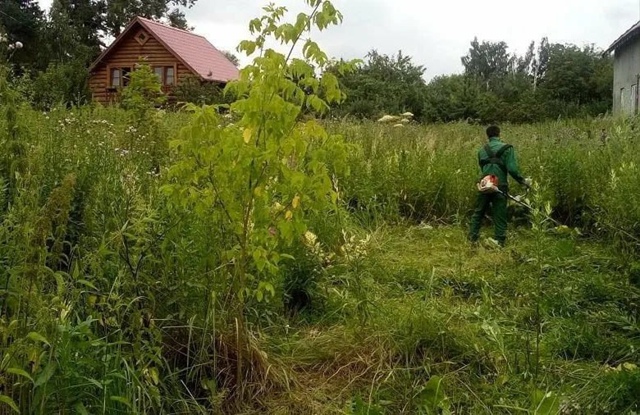 ‼️Россиянам посоветовали фотографировать свои дачны...