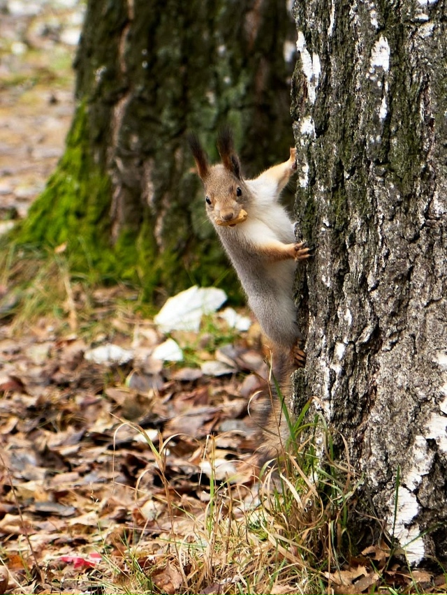 Ноябрь в Екатеринбурге🍂