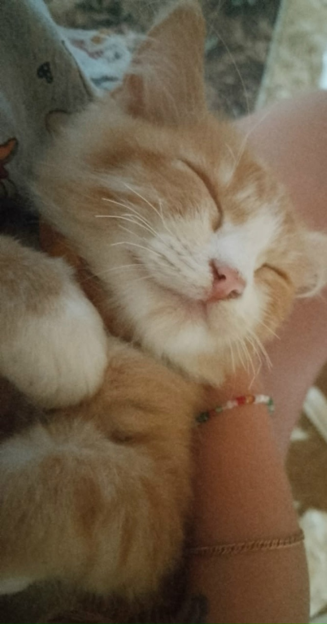 ЗА ВОЗНАГРАЖДЕНИЕ ❗️❗️❗️
Пожалуйста , помогите в ра...