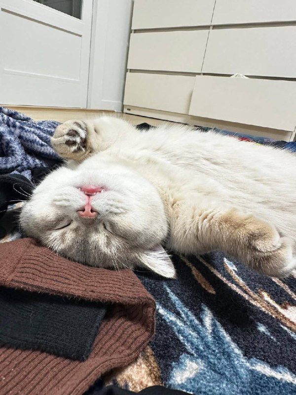 Вырубаемся споть :3