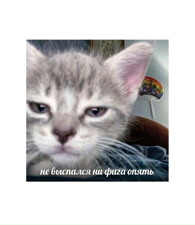 Я каждое утро