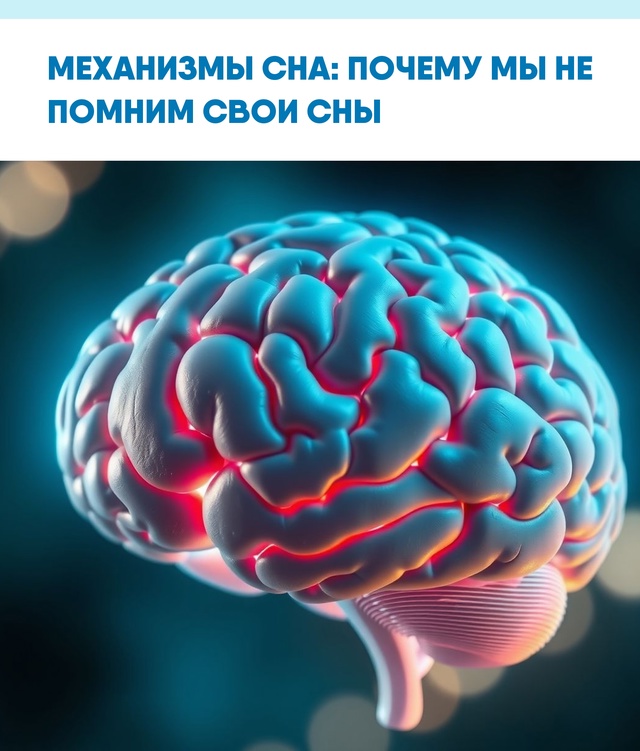 Забвение снов — естественный результат особенностей ?...