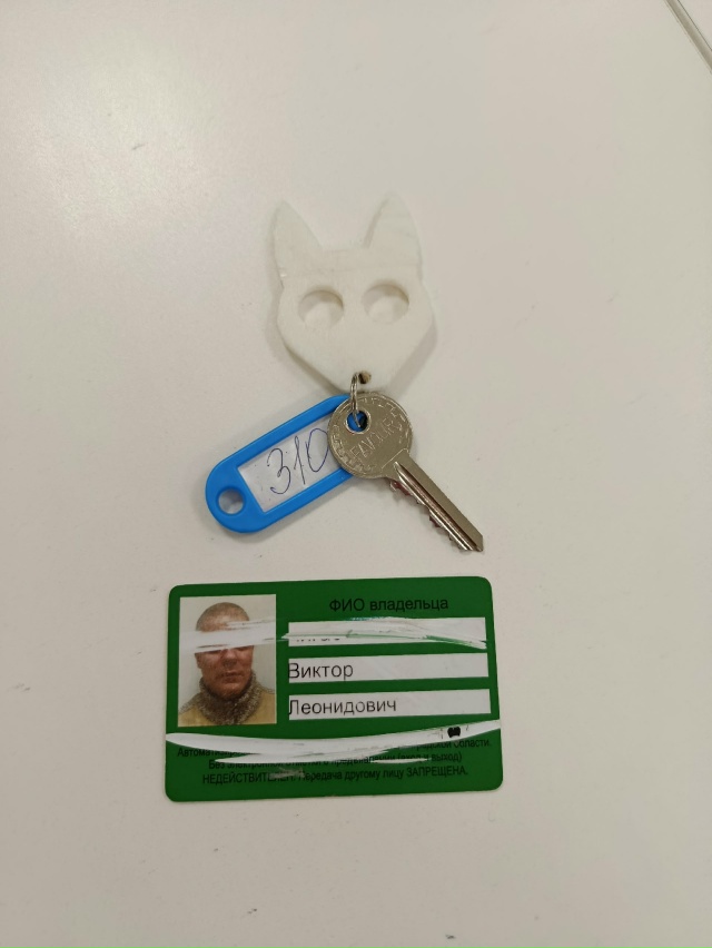 Найдены возле детской поликлиники, обращайтесь в реги?...