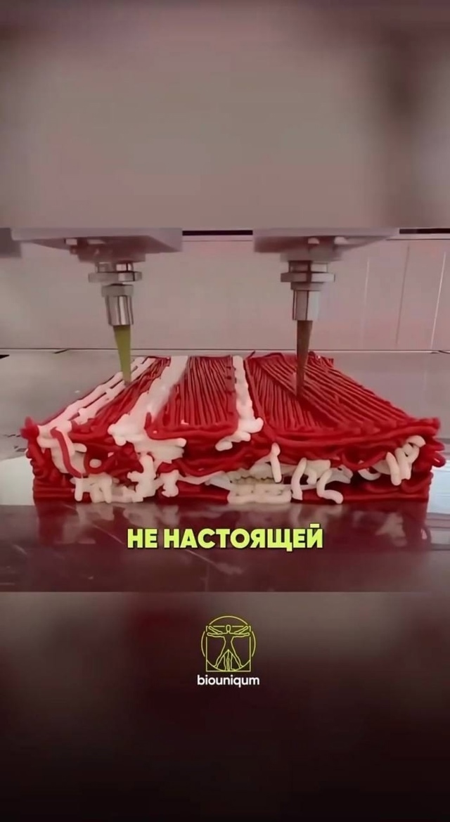 Напечатанные на 3D-принтере целые куски «мяса».