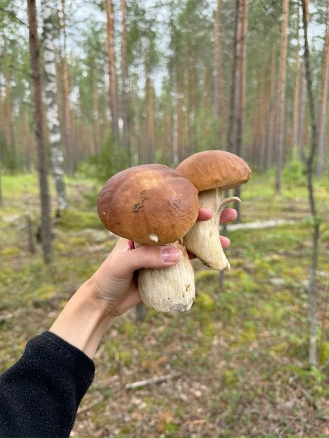 Дары осени в Воронеже 🥰