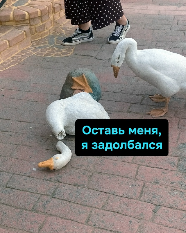 Серёга решил просто лечь и подождать, пока пройдёт нед?...