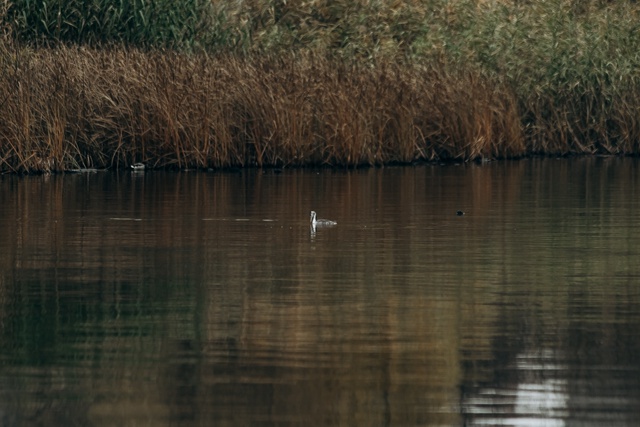Осенний Воронеж🥰