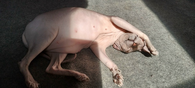 Буся, а по паспорту Буссилия Маргарита Первая, прекрас?...