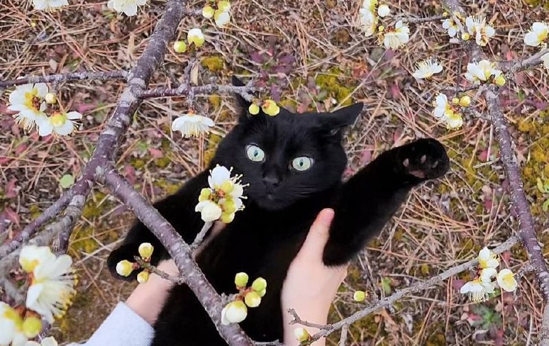 Весенняя фотосессия