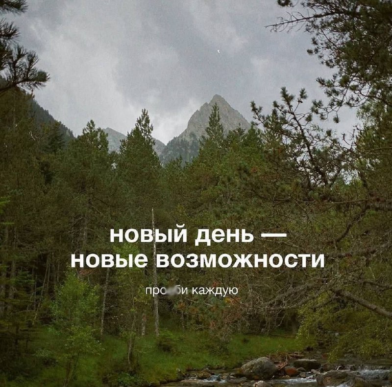 Утренняя подборочка