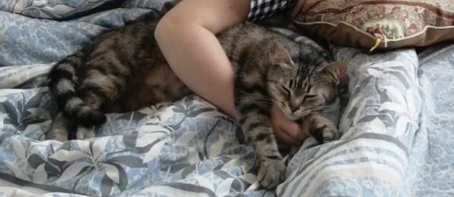 Поиски продолжаются🤞
Пропала кошка в д. Лыткино
899998406...