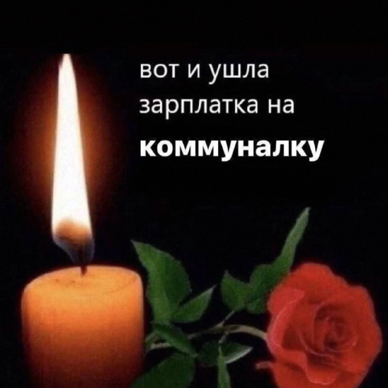 Утренняя подборочка