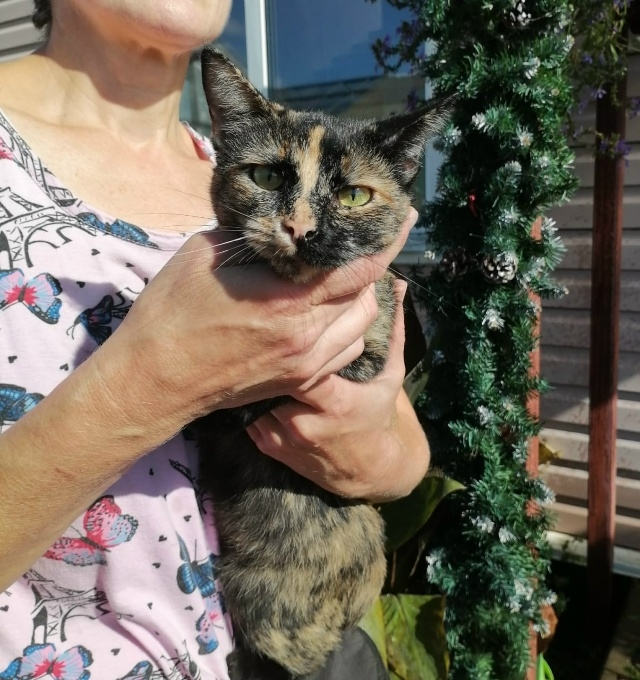 💛Трёхцветное счастье в ожидании своей семьи!🖤
Крас...