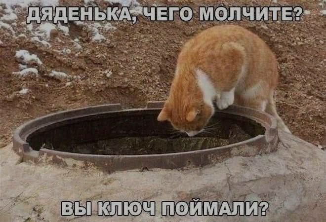 Ночная подборочка
Спать, режим