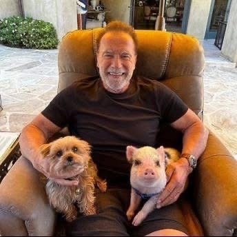 У Арнольда живут шесть спасенных животных😅
Это один ?...