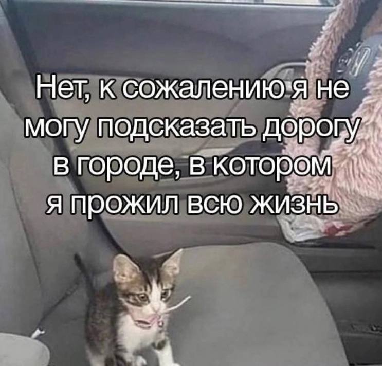 я всегда: