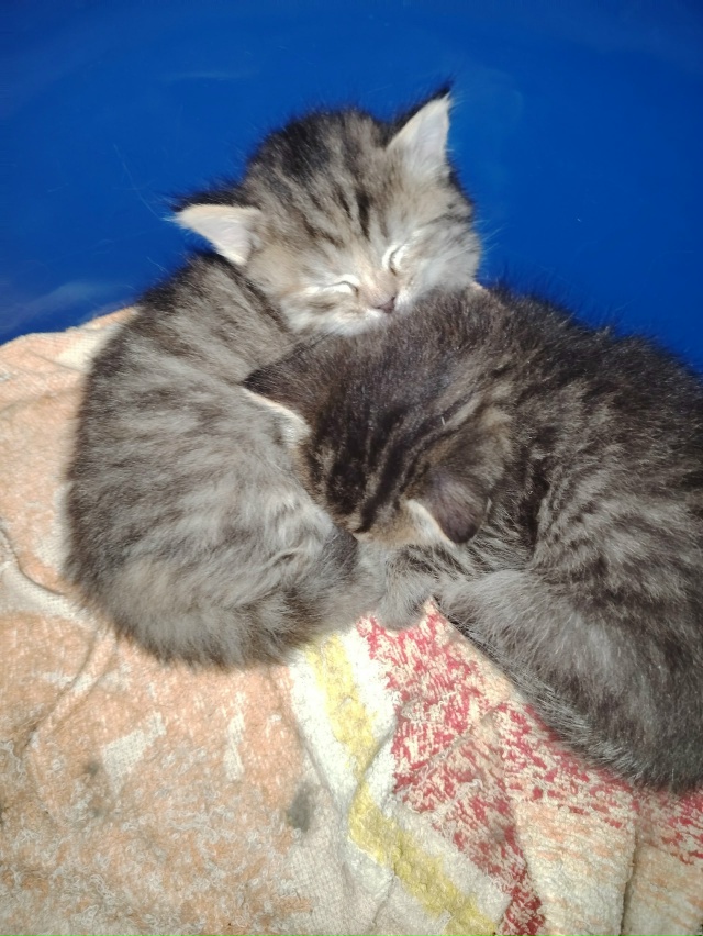 Всех с субботой