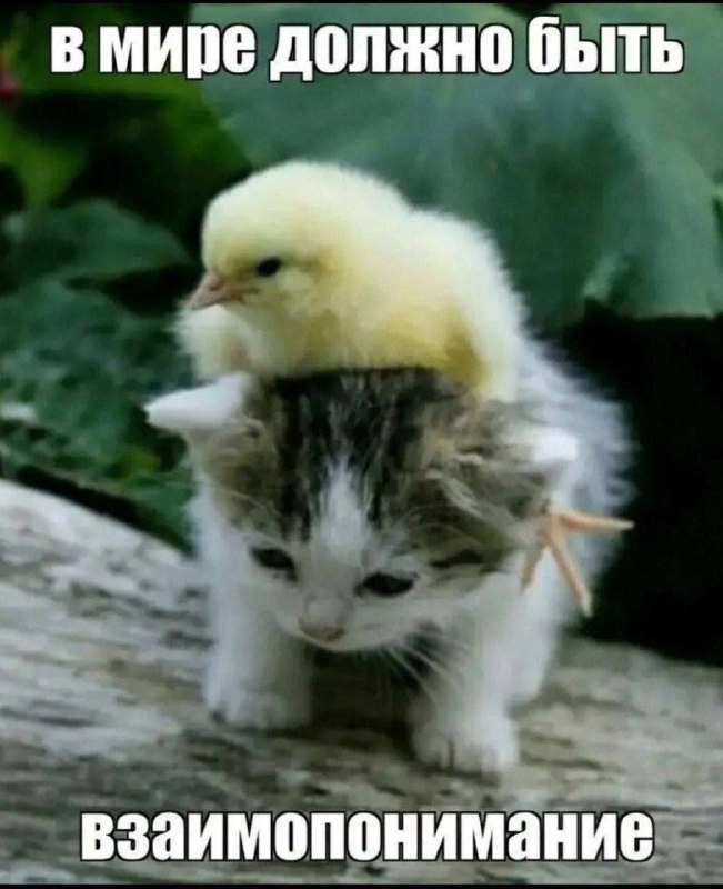 Утренняя подборочка