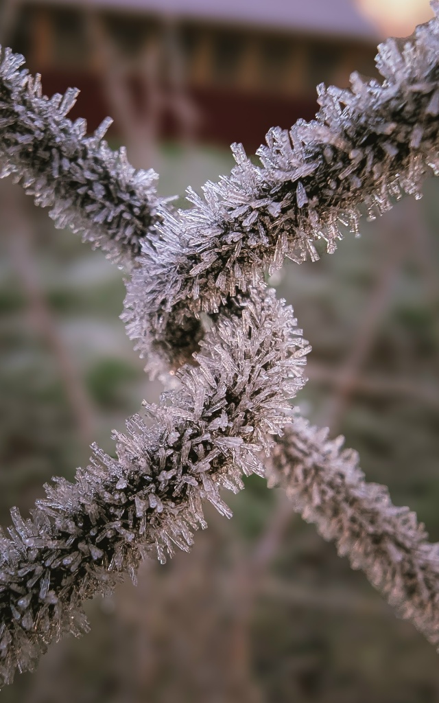 Вот теперь ноябрь ❄️🍂
Снято на мобильник Google Pixel 7 Pro