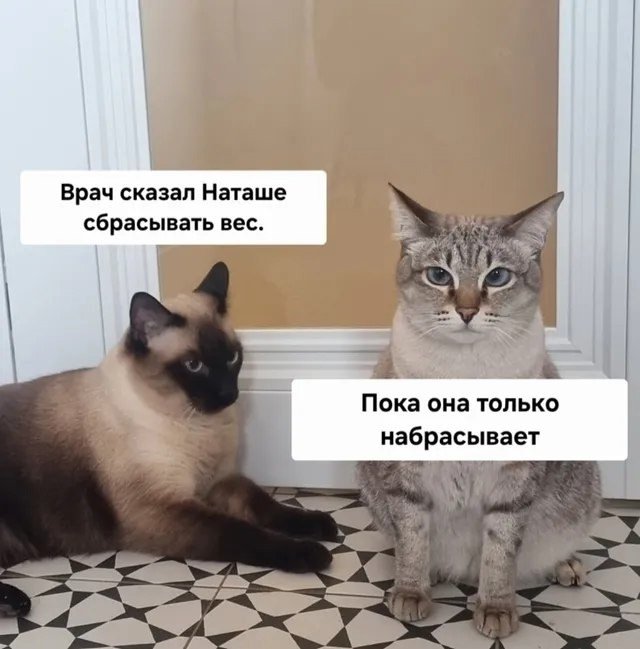 Те еще советчики😅
